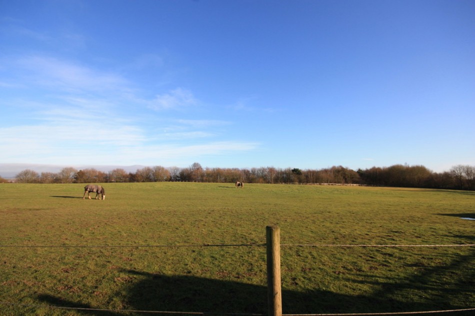 Images for Fearns Avenue, Bradwell, Newcastle-Under-Lyme EAID:49b9316610c762073834153eee719ae7 BID:1
