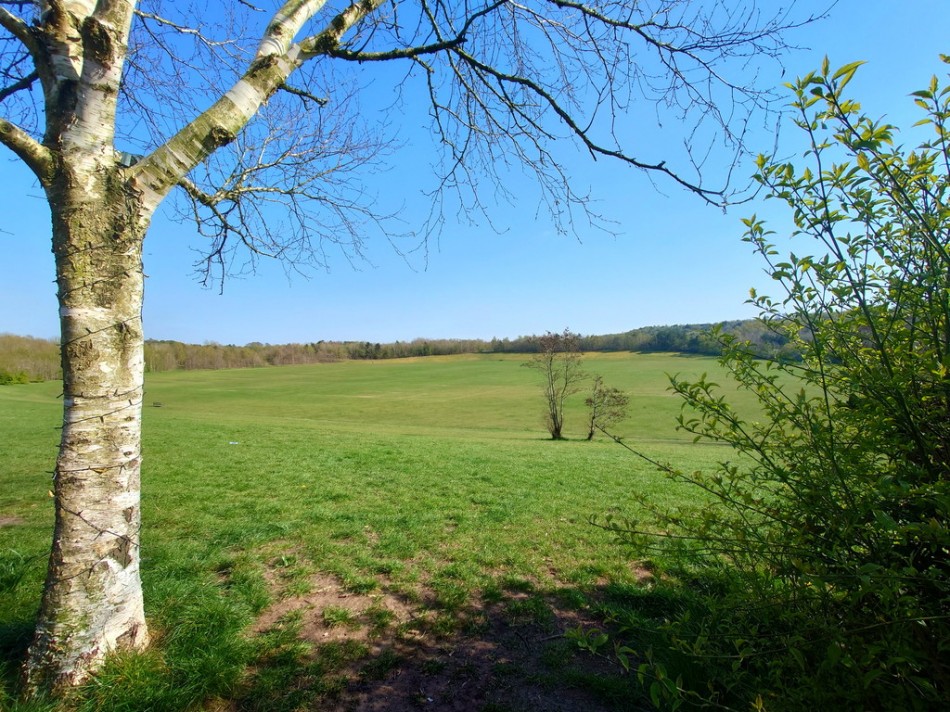 Images for Winghay Road, Kidsgrove, Stoke-on-Trent EAID:49b9316610c762073834153eee719ae7 BID:1