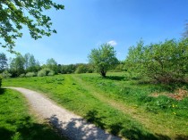 Images for Scrimshaw Drive, Bradeley, Stoke-on-Trent