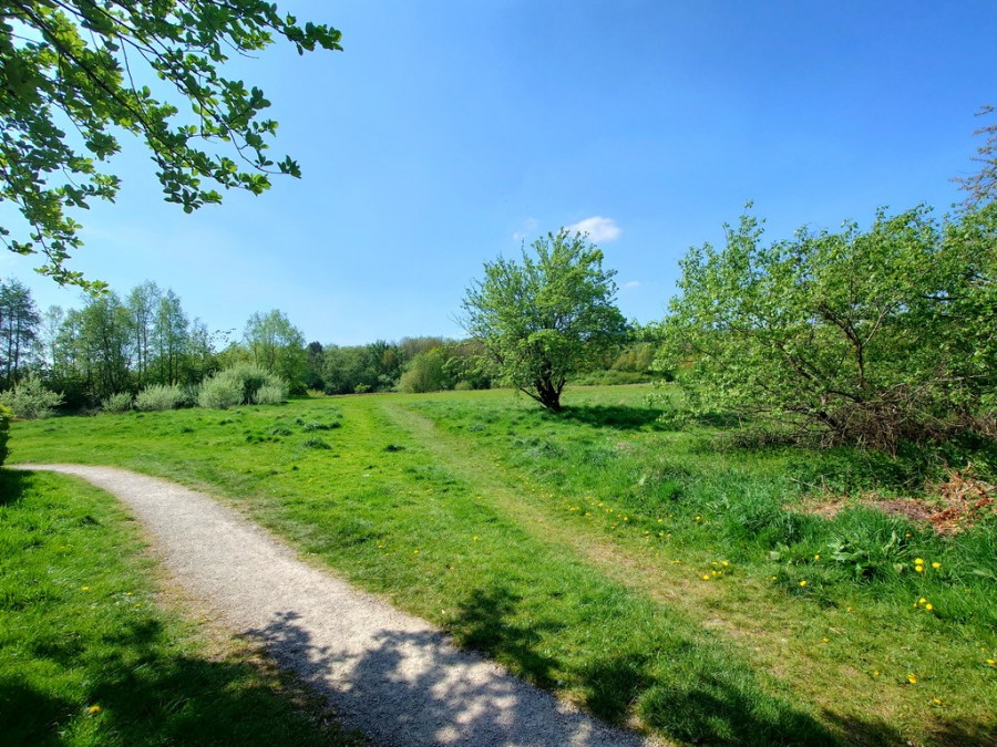 Images for Scrimshaw Drive, Bradeley, Stoke-on-Trent EAID:49b9316610c762073834153eee719ae7 BID:1