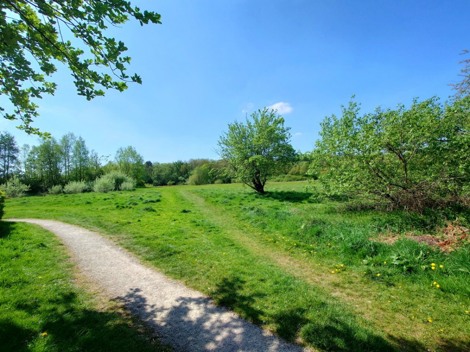Images for Scrimshaw Drive, Bradeley, Stoke-on-Trent EAID:49b9316610c762073834153eee719ae7 BID:1