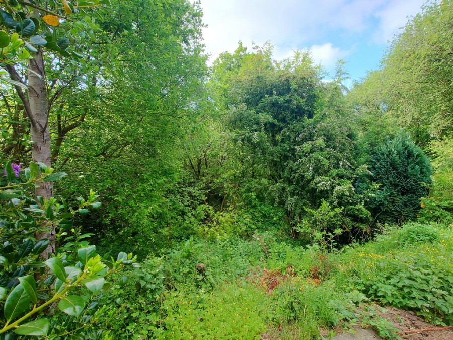 Images for Windmill Avenue, Kidsgrove, Stoke-on-Trent EAID:49b9316610c762073834153eee719ae7 BID:1