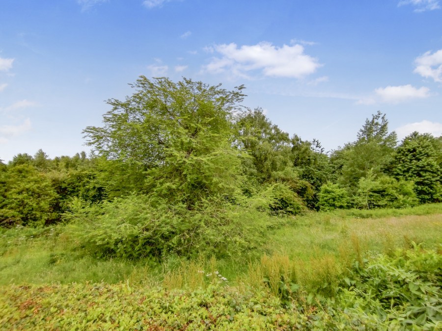 Images for 36 Westmorland Close EAID:49b9316610c762073834153eee719ae7 BID:1
