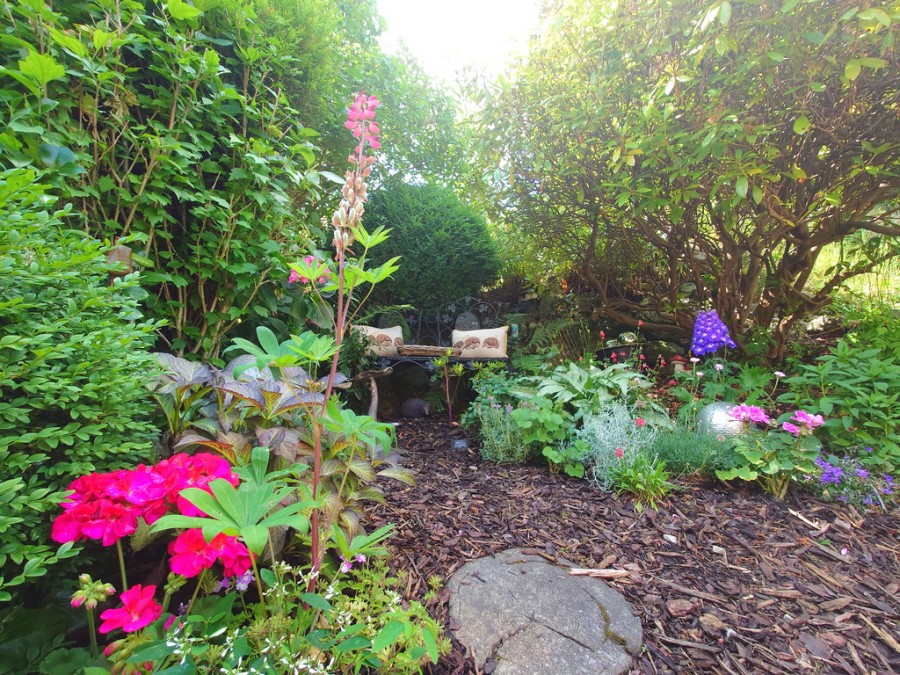 Images for Quarry Terrace, Kidsgrove, Stoke-on-Trent EAID:49b9316610c762073834153eee719ae7 BID:1