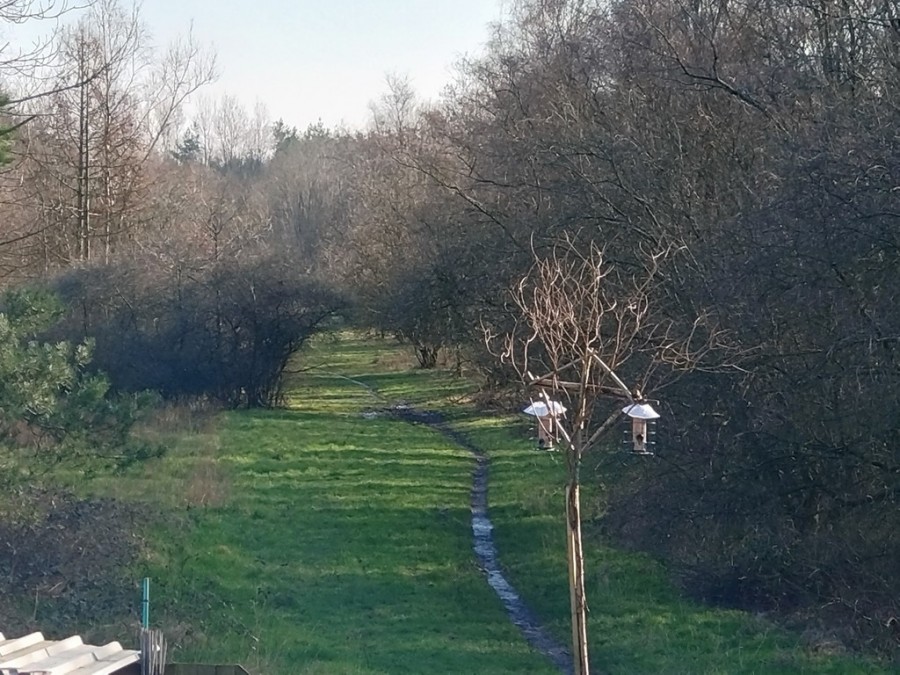 Images for Tern Avenue, Kidsgrove, Stoke-on-Trent EAID:49b9316610c762073834153eee719ae7 BID:1