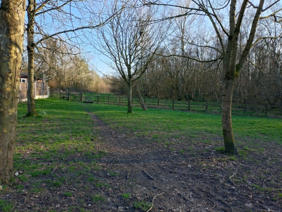 Images for Tern Avenue, Kidsgrove, Stoke-on-Trent EAID:49b9316610c762073834153eee719ae7 BID:1