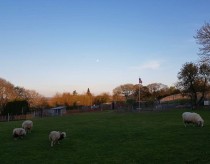 Images for Flatts Road, Norton