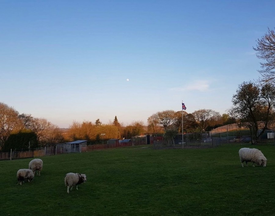 Images for Flatts Road, Norton EAID:49b9316610c762073834153eee719ae7 BID:1