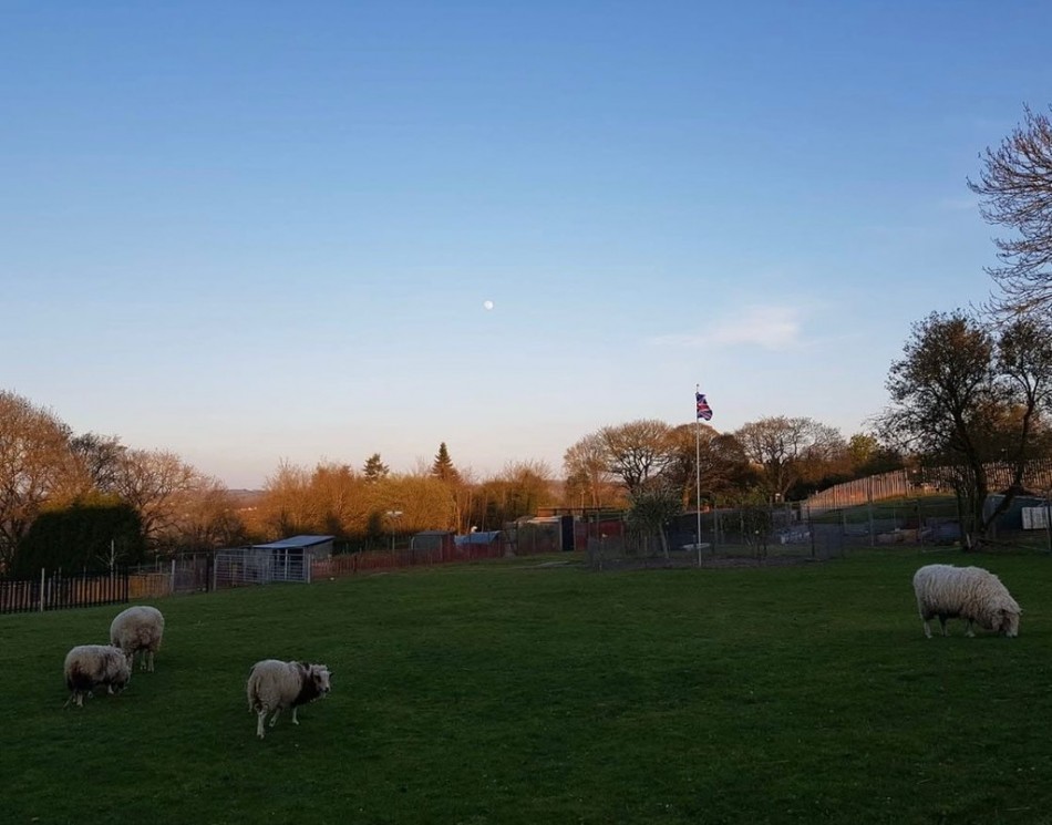 Images for Flatts Road, Norton EAID:49b9316610c762073834153eee719ae7 BID:1