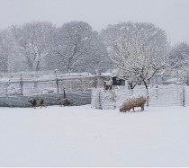 Images for Flatts Road, Norton