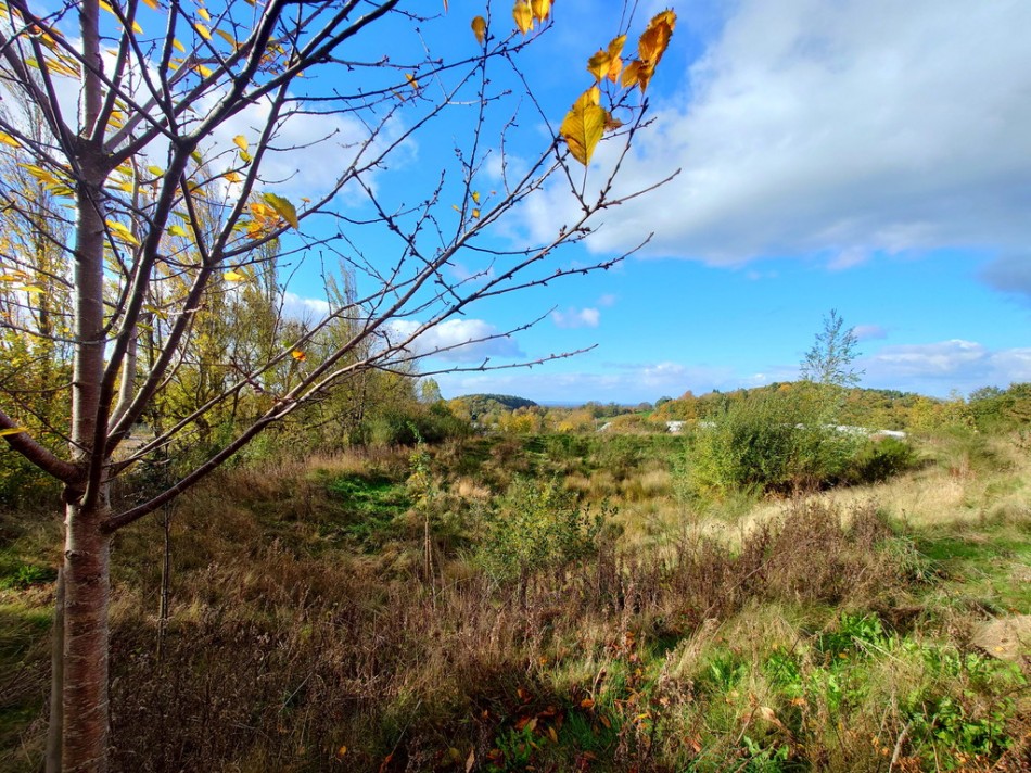 Images for Bambury Drive, Talke, Stoke-on-Trent EAID:49b9316610c762073834153eee719ae7 BID:1