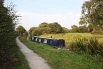 Images for Wavertree Avenue, Scholar Green