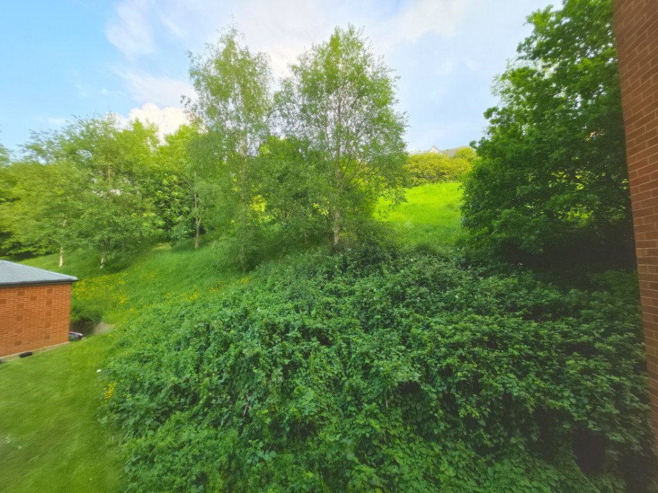 Images for Federation Road, Burslem, Stoke-on-Trent EAID:49b9316610c762073834153eee719ae7 BID:1