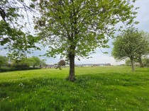 Images for Rodgers Street, Goldenhill, Stoke-on-Trent