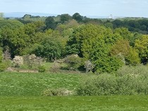 Images for Old Butt Lane, Talke, Stoke-on-Trent