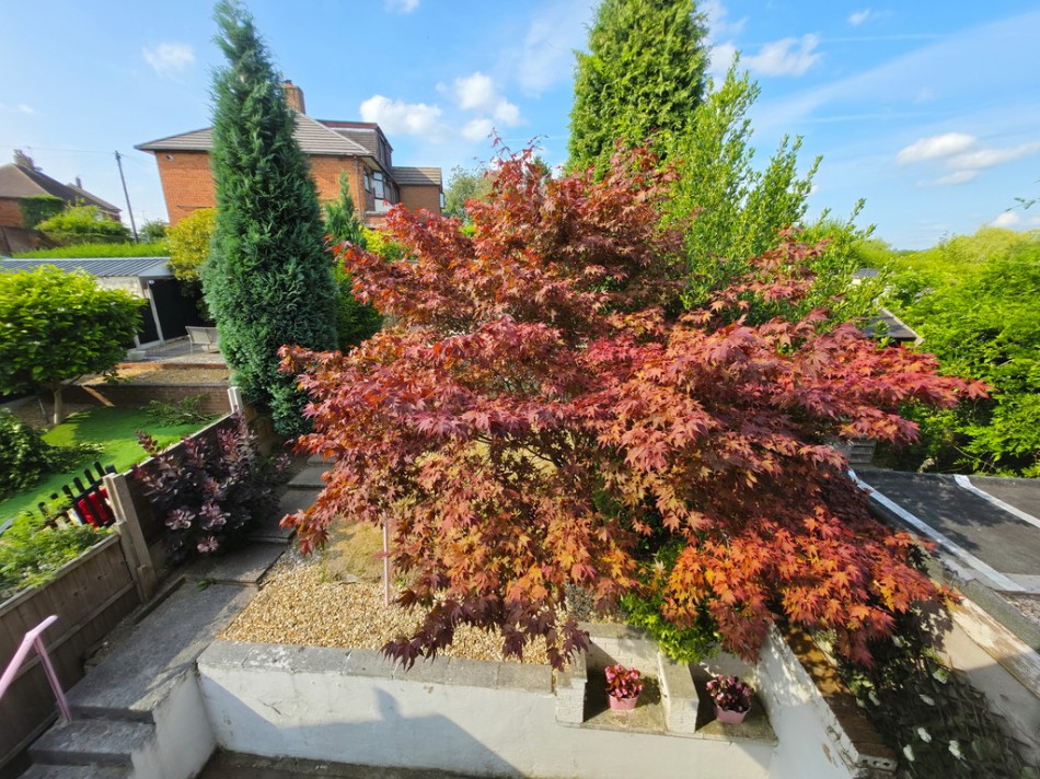 Images for Cromer Road, Northwood, Stoke-on-Trent EAID:49b9316610c762073834153eee719ae7 BID:1